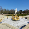DSC00260